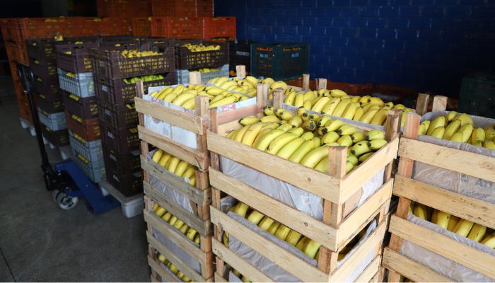  Preços de alimentos e bebidas caem em todas as regiões do Paraná em novembro